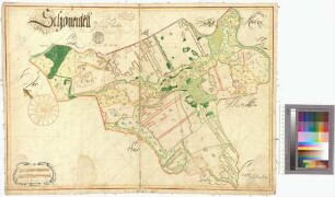 Schönfeld (Schönenfeld) Amt/Distrikt Verchen