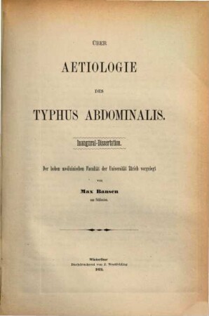 Ueber Aetiologie des Typhus abdominalis