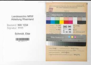 Entnazifizierung Else Schmidt , geb. 02.05.1892 ()