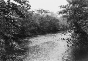 Rio São José : Flusslauf des Rio São José mit Galeriewald.
