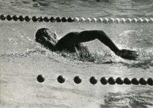 Schwimmer