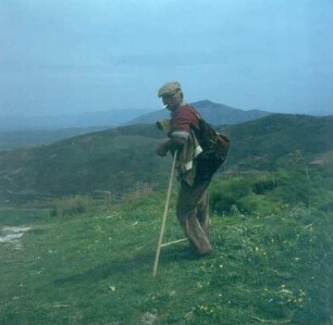 Sizilianischer Bauer bei Segesta