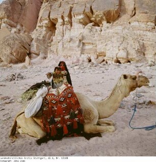 Wanderung, Aufbruch - Sinai - Familie Salem