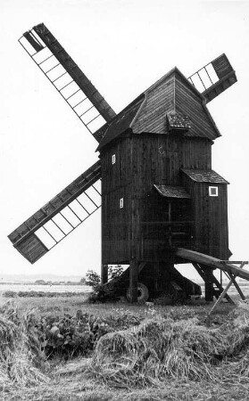 Doberlug-Kirchhain-Trebbus. Bockmühle, Baujahr 1881