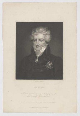 Bildnis des Cuvier