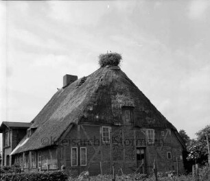 Bauernhaus mit Reetdach und Storchennest: davor eingezäunter Garten, Hecke und Bäume