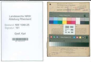 Entnazifizierung Karl Greif , geb. 31.12.1896 (Steuerberater)