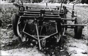 Schatzgräber 224