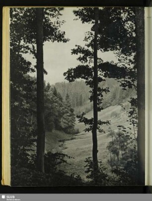 Zwischen Kirnitzschtal und Hinterhermsdorf