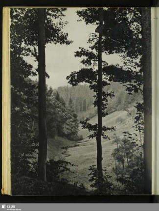Zwischen Kirnitzschtal und Hinterhermsdorf