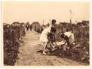 Kleingartenanlage, Hindenburg: Kleingartenanlage: Bearbeitung des Weges in einer Kleingartenkolonie