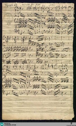 Symphonies - Mus. Hs. 578 : strings, brasses; G; BrinzingMWV 7.165