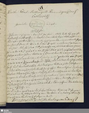 8. Kirch-Schul-Ritterguts-Flur und Grenzdorf Costewitz