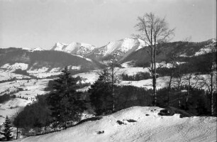 Weiler: Deutsche Alpenstraße, ohne Straße, Vordergrund Bäumchen