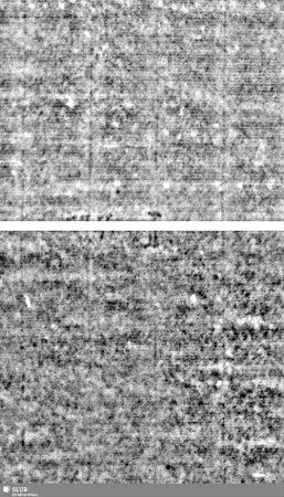 Lilienschild + IESV / LW = S.21/22+45/46