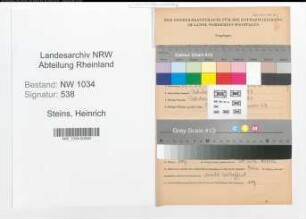 Entnazifizierung Heinrich Steins , geb. 00.00.0000 (Heeresinspektor)
