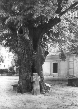 Steinkreuz : Kittlitz, Steinkreuz mit eingeritzter Saufeder