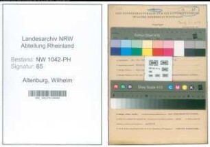 Entnazifizierung Wilhelm Altenburg , geb. 24.10.1909 (Arzt)