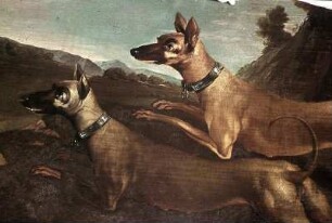 Hunde auf der Jagd