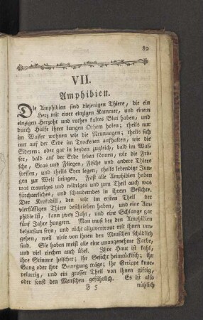 VII. Amphibien.