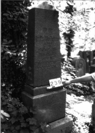 Grabstein 239 (Index: 100085057) Maße HxBxT: 197x70x45 cm Beschreibung: Obelisk, getreppter Sockel: Grabstein 239