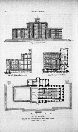 Fig. 64-67. Palmenhaus im Botanischen Garten