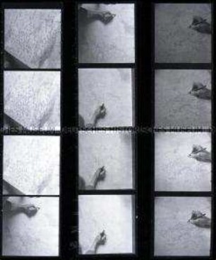 Schwarz-Weiß-Negative mit Aufnahmen von Forschungsarbeiten im Observatorium auf dem Brauhausberg in Potsdam