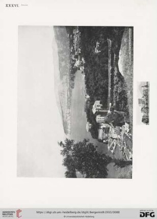 XXXVI. Sorrento