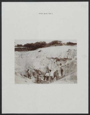Ica