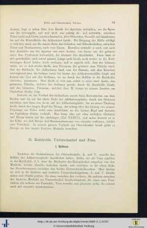 II. Kniekehle, Unterschenkel und Fuss.