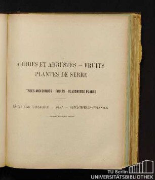 Arbres et arbustes. - Fruits. - Plantes de serre. - Trees and shrubs. - Fruits. - Glasshouse plants. - Bäume und Sträucher. - Obst. - Gewächshaus-Pflanzen.