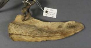 Messer mit Messerscheide