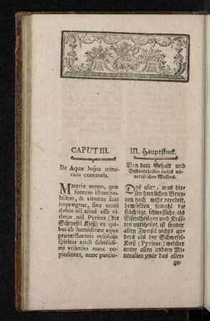 Caput III. III. Hauptstuck.
