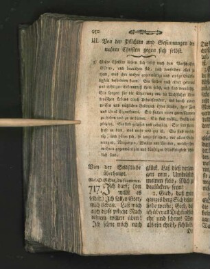 III. Von den Pflichten und Gesinnungen der wahren Christen gegen sich selbst.