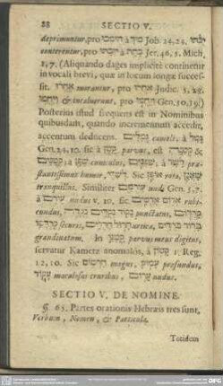 Sectio V. De Nomine