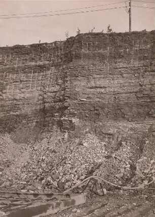 Geithain, Kalkgrube : Kalkgrube bei Geithain. Bändermergel