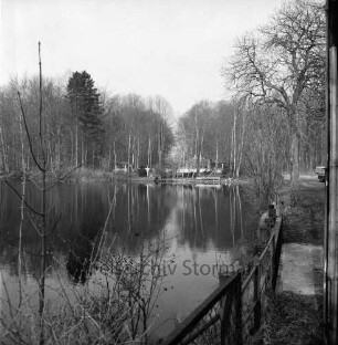 Lasbek-Gut: Lasbeker Mühlenteich: im Hintergrund Lasbeker Mühle nach Gebäudeabriss: vorn Geländer und Sträucher: im Hintergrund Bäume