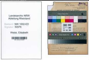 Entnazifizierung Elisabeth Weiss, geb. 19.06.1898 (Studienraetin)