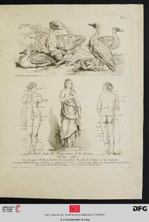 Cahier 10