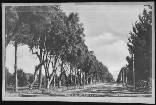 Upland. Eucild Ave., Uplands, Cal.