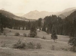 Stillachtal : Allgäuer Alpen. Das Stillachtal