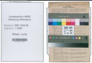 Entnazifizierung Lucie Meyer , geb. 09.10.1909 (Bankbeamtin)