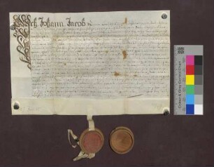 Kaufbrief des fürstenbergischen Schultheißen Ribola zu Hüfingen für Johann Engeßer zu Sumpfohren über Wiesen zu Sumpfohren.