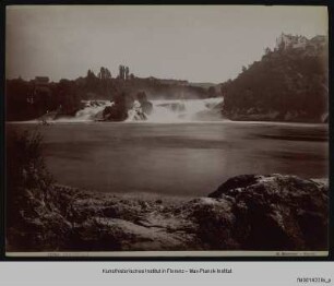 Ort, Neuhausen am Rheinfall