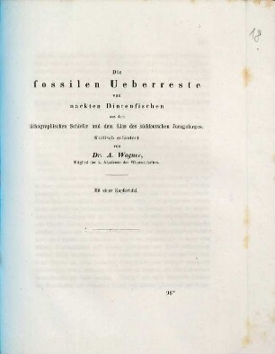 Die fossilen Überreste von nackten Dintenfischen aus dem lithographischen Schiefer und dem Lias des süddeutschen Juragebirges