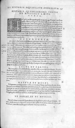 Historia Quadragesima Tertia. De Mustelo Laevi
