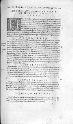 Historia Quadragesima Tertia. De Mustelo Laevi