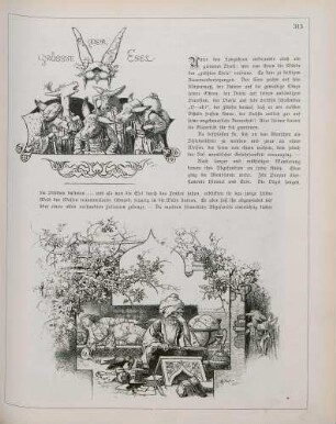 "Der grösste Esel"
