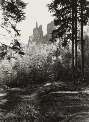 Sächsische Schweiz, Brosinnadel, Herbstfärbung