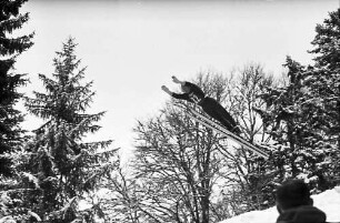 Hinterzarten: Springer